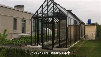 Пристроенная теплица во дворе одного из домов в Шотландии | Vparnike.ru