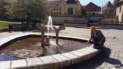 Ботанический сад в Теплице — подробное описание, адрес и фото