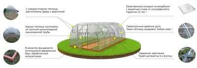 Теплица Мария Делюкс 6 метров с поликарбонатом Multigreen — купить в  Новосибирске по цене 24 550 руб.