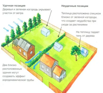 Поставили теплицу на неразработанном участке – что делать? | Дела огородные  (Огород.ru)