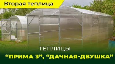 Эксперты рассказали, как правильно возвести теплицу на участке - Новости -  Журнал Домклик