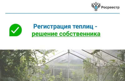 Какую теплицу поставить, если огород совсем маленький: 5 компактных  вариантов | Дела огородные (Огород.ru)
