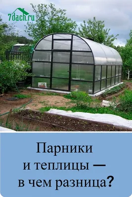 Теплицы и парники на дачном участке (Дмитрий Антонов) - купить книгу с  доставкой в интернет-магазине «Читай-город». ISBN: 978-5-69-947716-6
