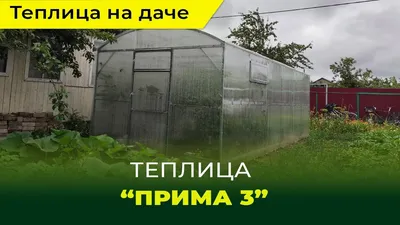 Теплицы на дачном участке: конструкции, функции, эстетика
