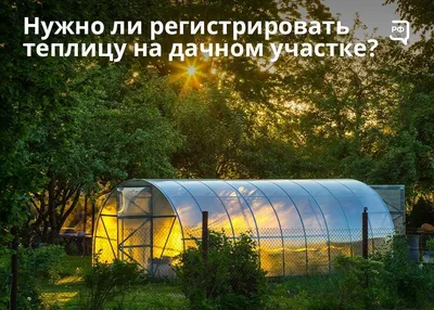 Как выглядит теплица спустя 1,5 месяца после установки на дачном участке.  Теплица \"Прима 3\" - YouTube