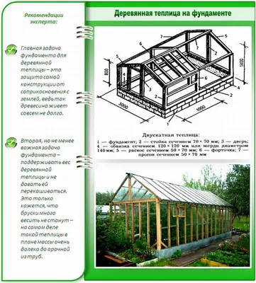 Как построить теплицу своими руками на дачном участке? | NaturalistClub