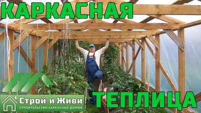 Зимняя теплица своими руками: 26 идей с фото, инструкция по строительству |  ivd.ru