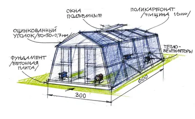 Как сделать теплицу из дерева своими руками, обзор вариантов деревянных  теплиц - Город Теплиц