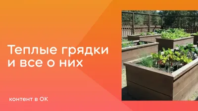 Как сделать теплую грядку своими руками? Виды, формирование, пошаговое  изготовление. Фото — Ботаничка