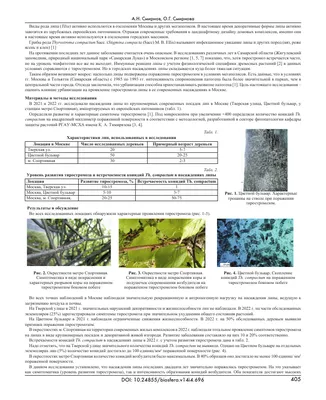 БОЛЕЗНИ декоративных растений - презентация, доклад, проект