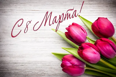 Цветы на 8 Марта: как выбрать самые лучшие? - Росконтроль