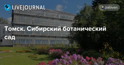 КУЛЬТУРНАЯ СРЕДА: Весна в Сибирском ботаническом саду