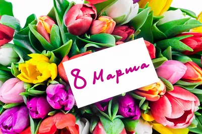 Поздравление ректора КГПУ им. В.П. Астафьева Валерия Анатольевича  Ковалевского с Международным женским днем 8 Марта :: КГПУ им. В.П. Астафьева