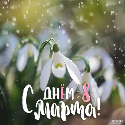 Новости - Ошколе.РУ