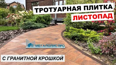 Тротуарная плитка, брусчатка - Террасы, тротуарная плитка, деревянный  фасад, ступени, полы, деревянный погонаж - Строительные товары - Страница: 4
