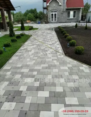 Тротуарная плитка спил дерева для садовых дорожек, купить в Днепре, цена от  Днепр-Бетон