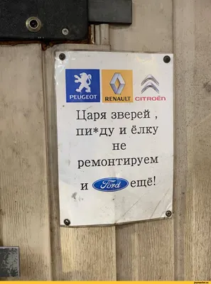 Царя зверей , пи*ду и ёлку не ремонтируем и ^¡¡^ещё! / ford :: citroen ::  Renault :: peugeot :: авто приколы / смешные картинки и другие приколы:  комиксы, гиф анимация, видео, лучший интеллектуальный юмор.