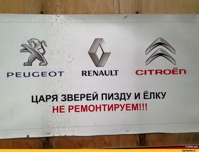 ЦАРЯ ЗВЕРЕЙ ПИЗДУ И ЁЛКУ НЕ РЕМОНТИРУЕМ / ненависть :: Авторемонт / смешные  картинки и другие приколы: комиксы, гиф анимация, видео, лучший  интеллектуальный юмор.