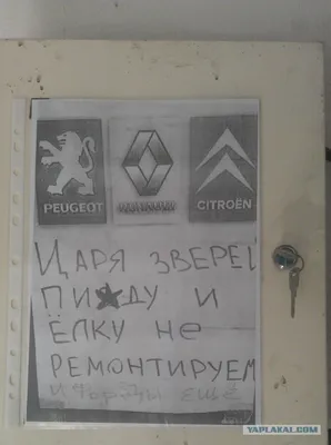 Царя зверей, \"Рено\" и елку — не ремонтируем — Citroen C5 (1G), 2 л, 2006  года | просто так | DRIVE2