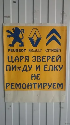 Нашли друг друга 😂 #юмор@motormag | delete | ВКонтакте