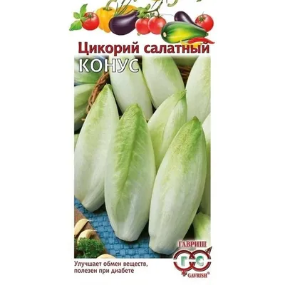 Почему стоит есть цикорий и что из него приготовить - 7Дней.ру