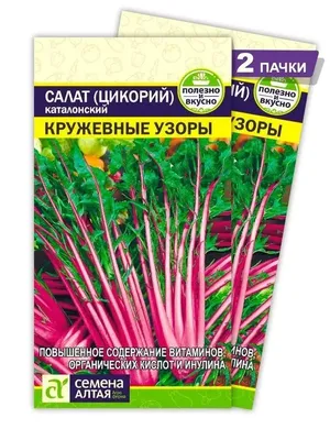 Elena Galkina - САЛАТНЫЙ ЦИКОРИЙ-ЭНДИВЕЙ - ВИТЛУФ - все... | Facebook