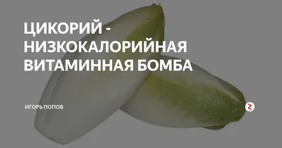 Цикорий — Gold Dried Fruits