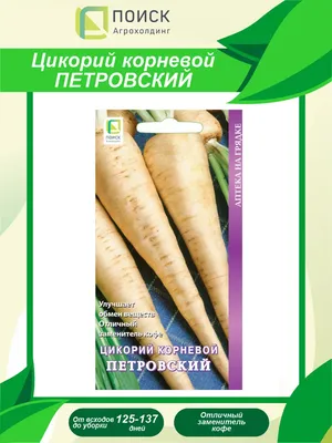Радиччио – цикорий важный и полезный | Гавриш