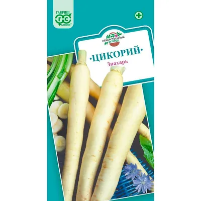 Цикорий салатный головчатый ЛЕОНАРДО Bejo