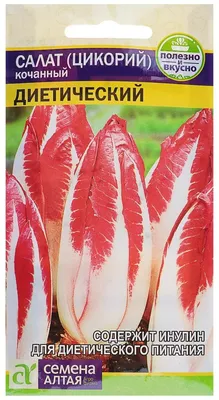 Цикорий салатный Конус 0,1гр Гавриш *10: купить в Сухом Логе по цене 19.00  рублей/штука