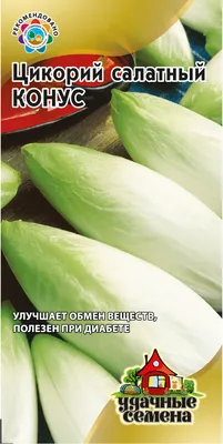 Купить Семена - Цикорий Красный ковчег Вероны, 350 шт. ❱❱ Колибри-маркет ❰❰❰
