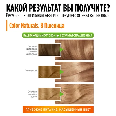 Краска для волос `GARNIER` `COLOR NATURALS` тон 8 (Пшеница)