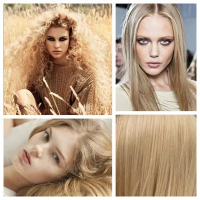 Пшеничный цвет волос 2024: +150 фото на средние, длинные волосы, каре