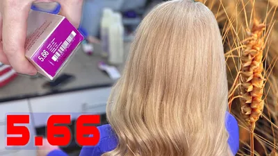 Крем-краска для волос Garnier Color naturals 8 Пшеница 112 мл, by Dükan -  купить в Баку. Цена, обзор, отзывы, продажа