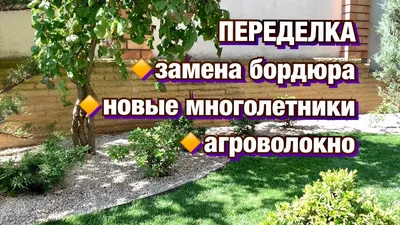 ДЕКОРАТИВНЫЙ САД : бордюр садовый, многолетники, агроволокно. - YouTube