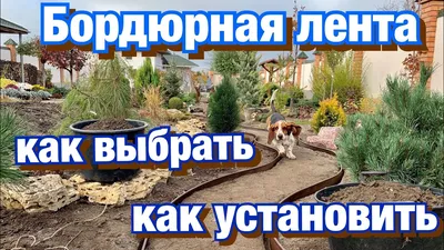 Виды бетонных бордюров | Евровазон