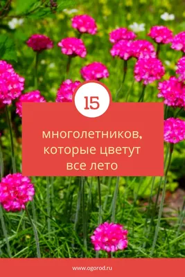 10 идей, как сделать красивую клумбу на даче своими руками | Дизайн участка  (Огород.ru)