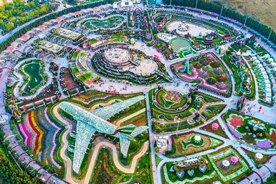 Самый большой в мире природный парк цветов: “Dubai Miracle Garden” -  Amusement Logic