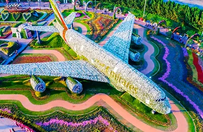 Парк цветов Dubai Miracle Garden - советы от site2max