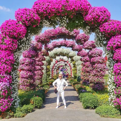 Цветочный парк Dubai Miracle Garden | ВКонтакте