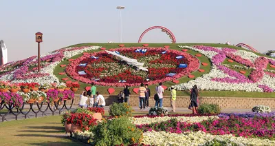 Miracle Garden