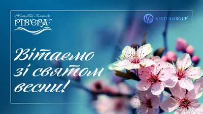 Скачать обои весна, Тюльпаны, розовые, 8 марта, желтые, раздел цветы в  разрешении 4000x3000