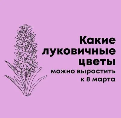 Букет \"8 марта\" с доставкой в Таллине, Эстонии - Roses.ee