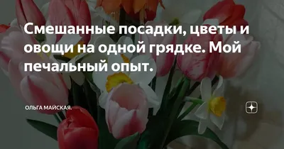 Совместимость растений на огороде: какие овощи хорошо растут рядом |  Zelendvir