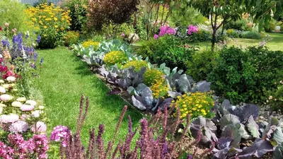 Декоративный огород, или как выращивать цветы и овощи на одной грядке -  Рамблер/женский