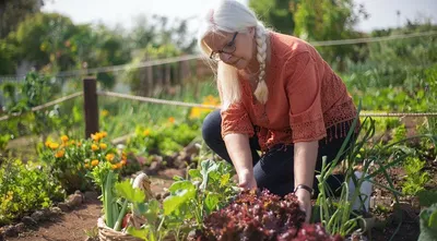 Овощи и цветы на грядке — как сделать огородную жизнь цветущей? Фото —  Ботаничка