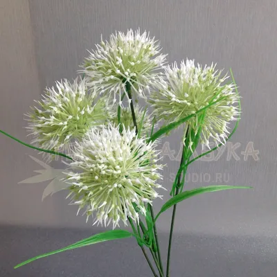 Цветок лука в букете Белый/зеленый №2298.2