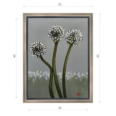 Белые Цветы Трехугольного Лука Порея Allium Triquetrum Растения Лука  Семейства стоковое фото ©alessandrozocc 463767406