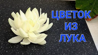 УКРАШЕНИЕ ЛЮБОГО БЛЮДА Цветок лотос из лука / как украсить салат / рецепт  за 5 минут - YouTube
