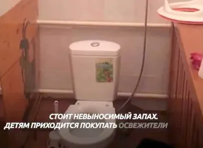 Детский унитаз: прихоть или необходимость? Различие между детским унитазом  и унитазом для взрослых | AQUANET - всё для ванных комнат | Дзен